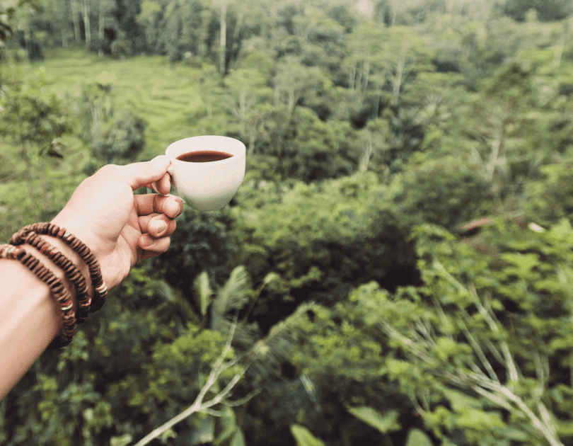 Nachhaltiger Kaffeegenuss: Umweltbewusstsein im Kaffeetrend
