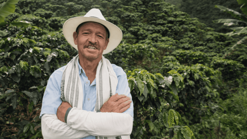 Fairtrade und Satelligence starten Überwachungsinitiative gegen Abholzung