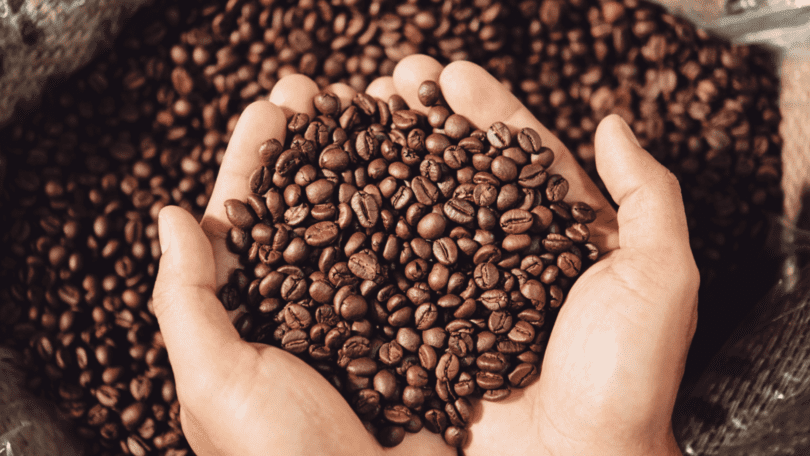 12 Tipps für’s Kaffee Rösten von zu Hause